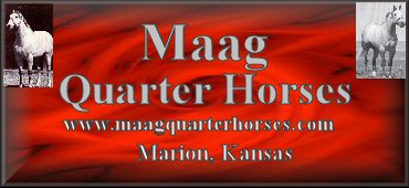 Maag Quarter Horses